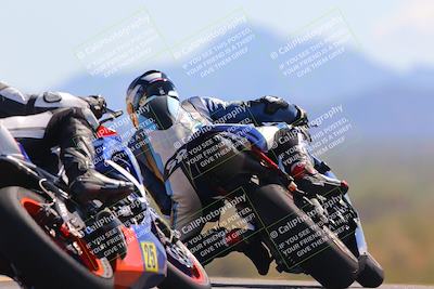 media/Oct-09-2022-SoCal Trackdays (Sun) [[95640aeeb6]]/Turn 9 Backside (120pm)/